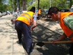 Amenajare spatii verzi langa trotuare - Sos. Colentina, Bucuresti